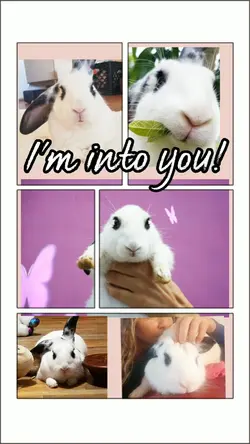 I'm into you