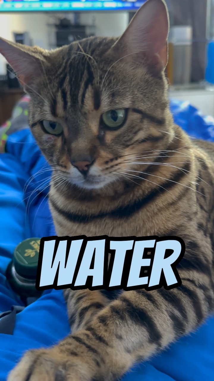 ¡El agua salva vidas! 