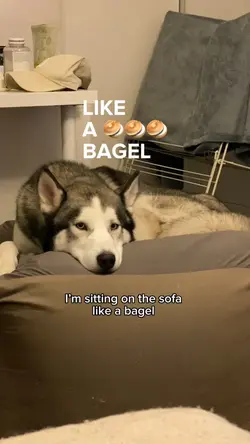 Like a bagel 🥯🥯🥯