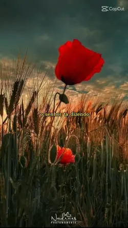 motivação 