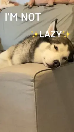 Lazy Lazy Lazy NO！