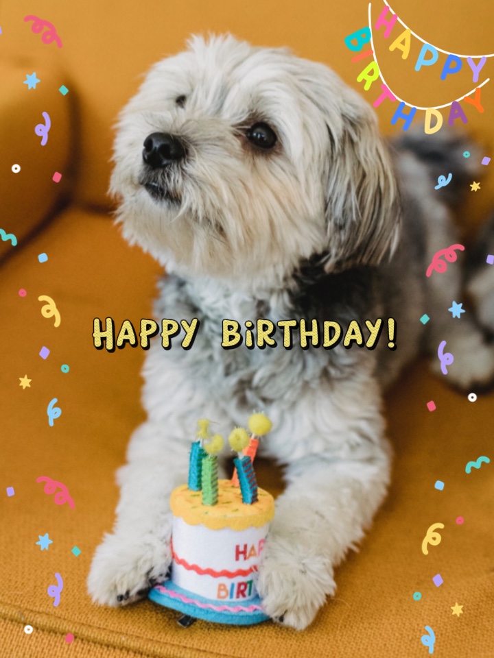 Feliz Aniversário 🎈