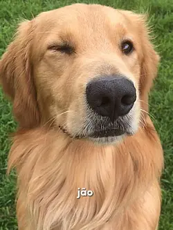 Trend com seu nenê 🥺
