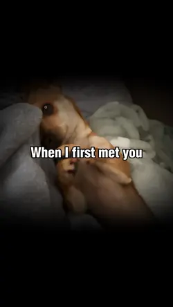 When I First Met You