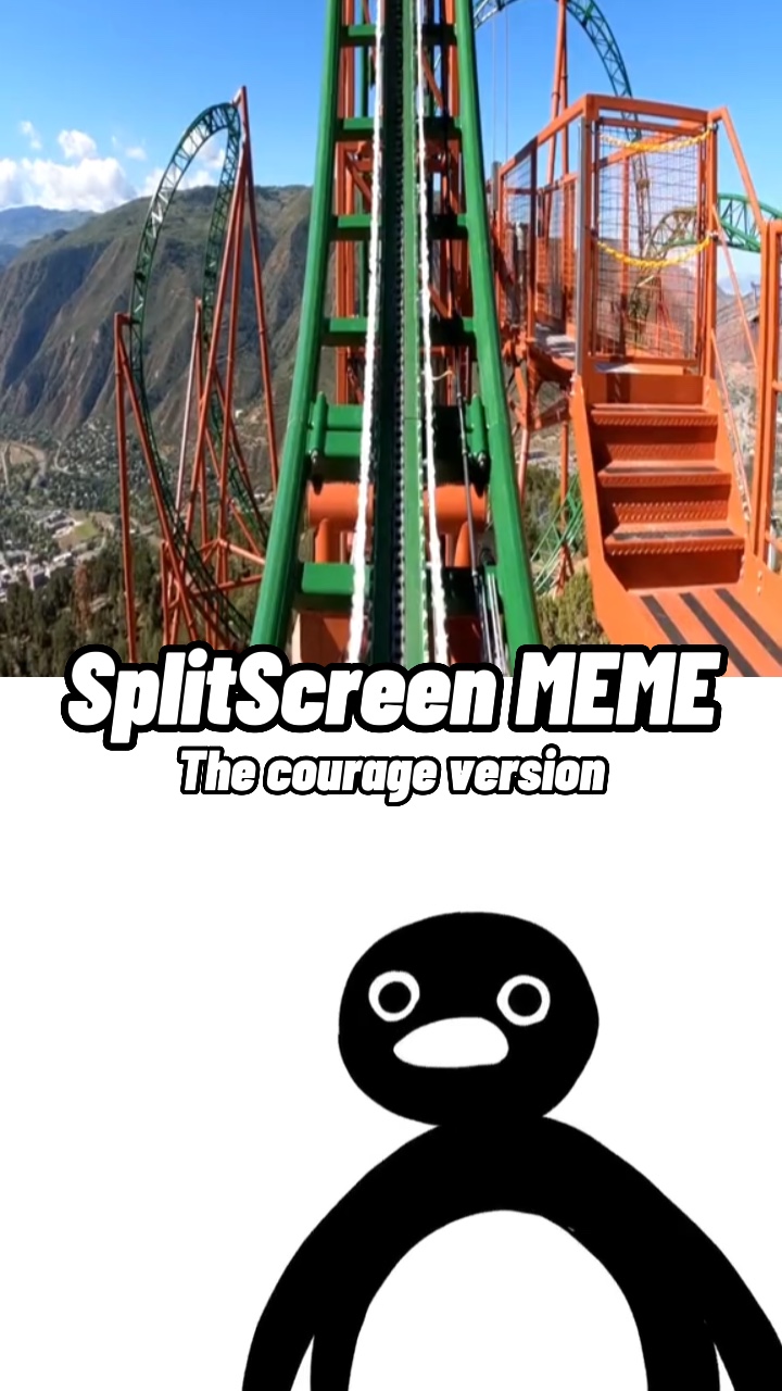 Meme da tela dividida