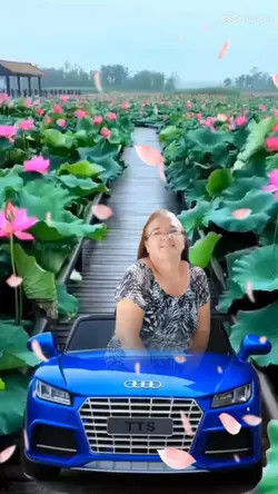 meu carro azul 