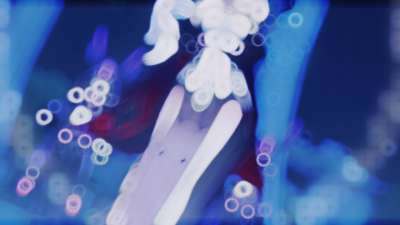La signora edit
