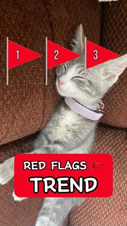 Red Flags ๐ฉ