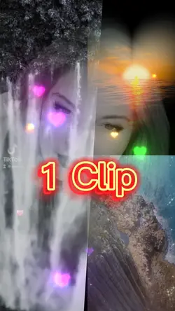 Collage 