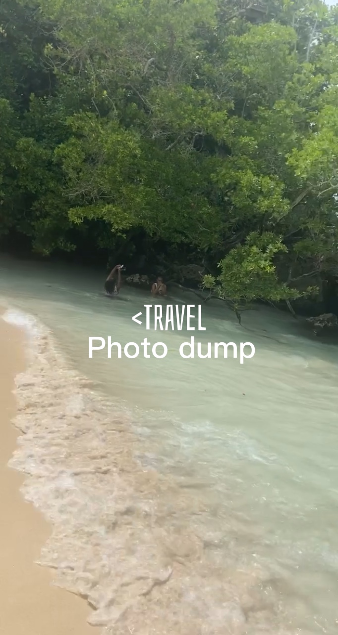 Tempat pembuangan foto perjalanan🌊
