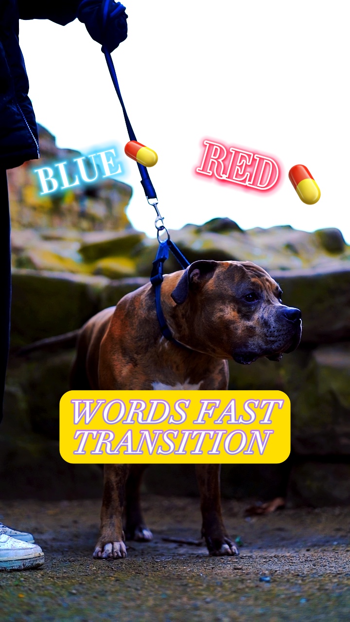 BluePill X RedPill