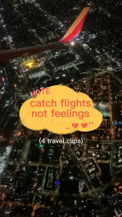 catch flights