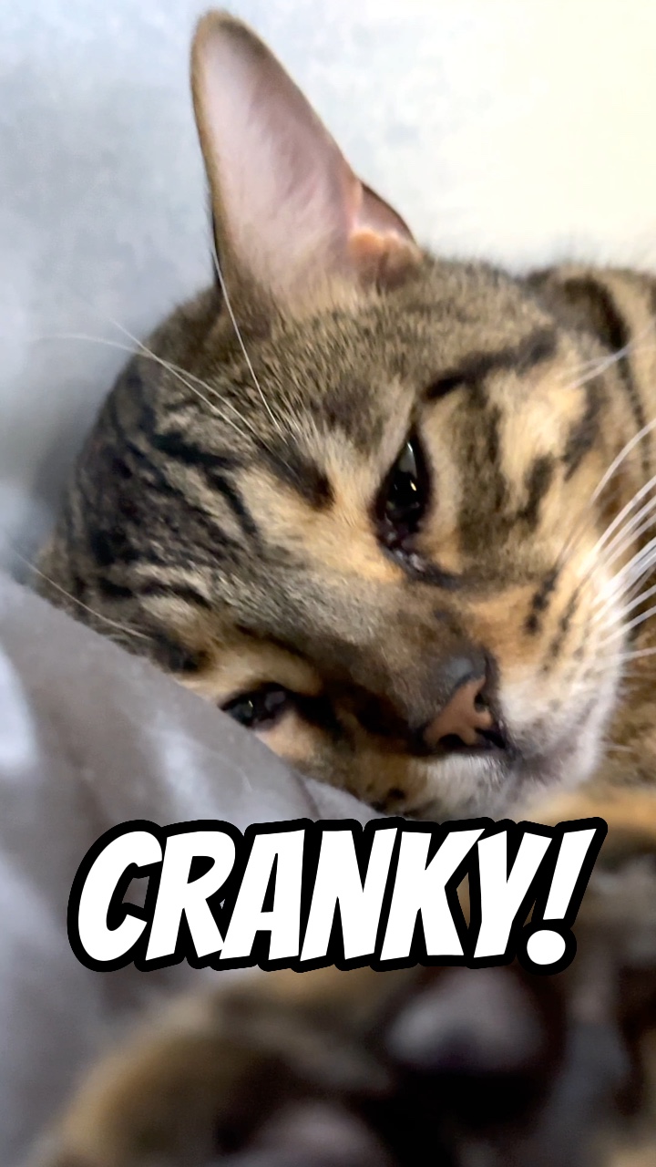 Cranky!