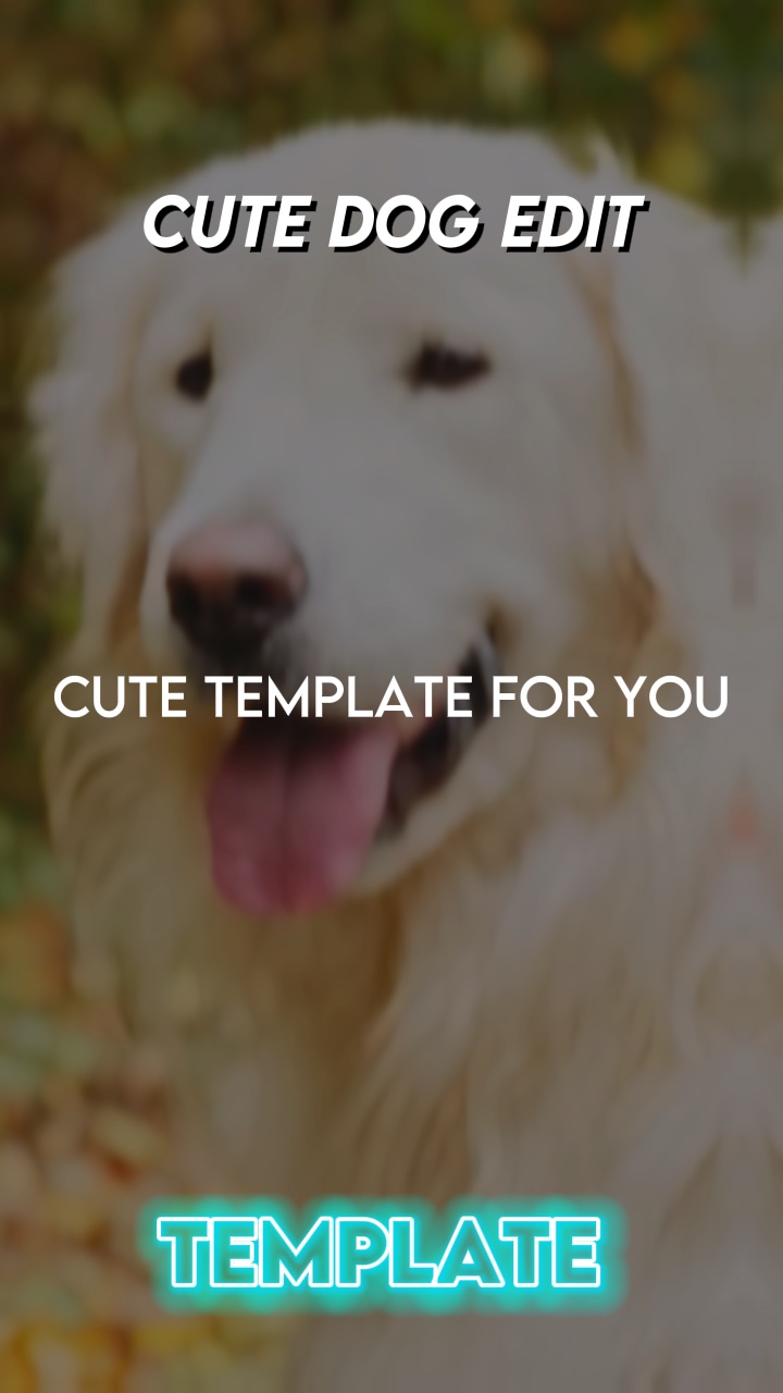 Modèle de chien mignon 