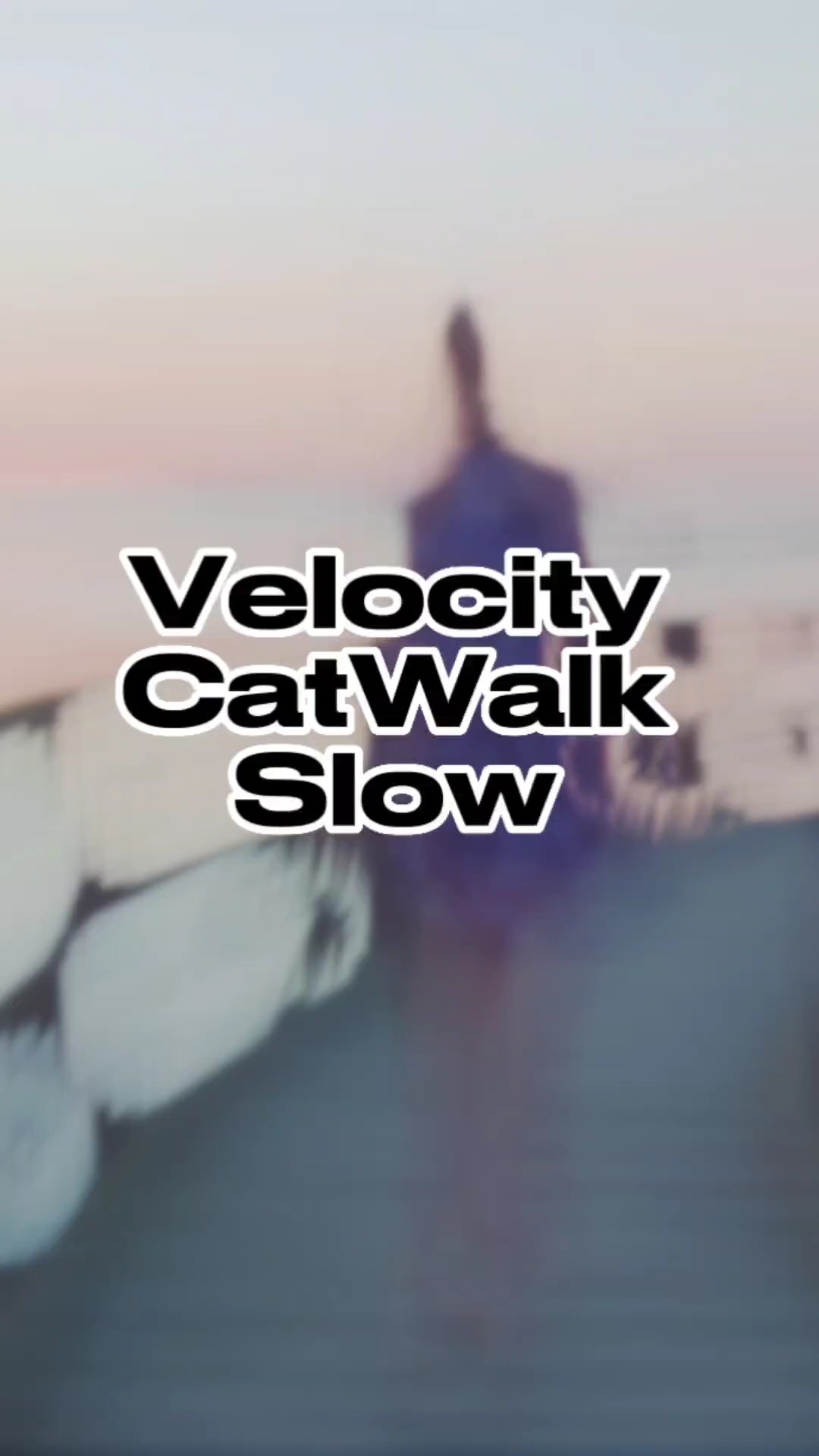 Pasarela de velocidad 