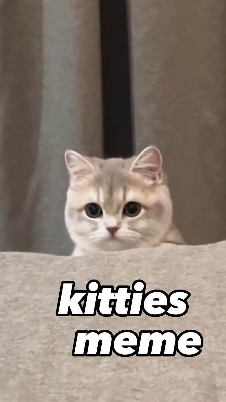 kedicikler meme
