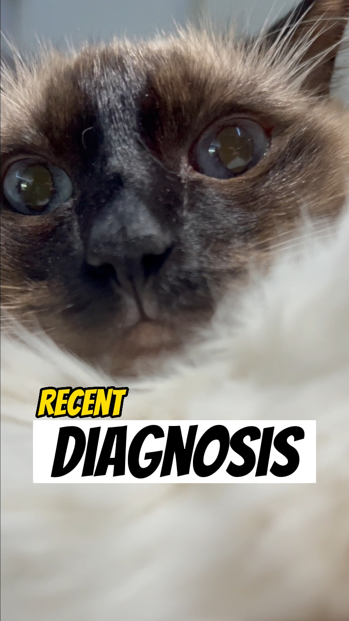 Diagnose der Ärzte