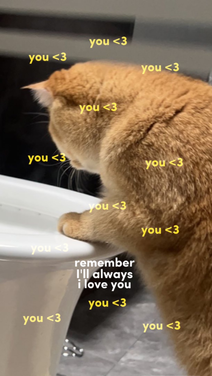 Je t'aime toujours