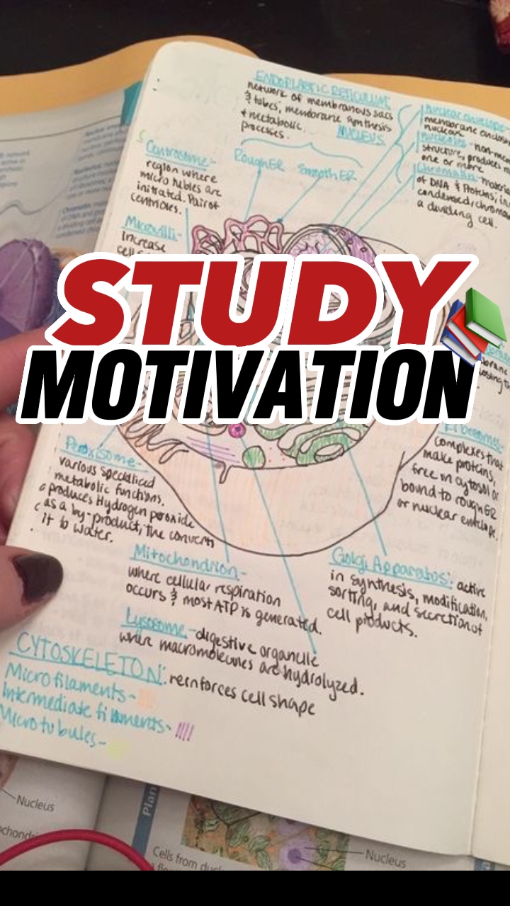 MOTIVAÇÃO PARA ESTUDAR🧫📚 