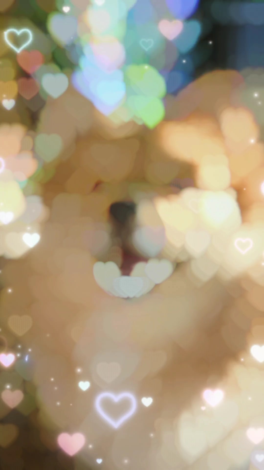 love you forever 