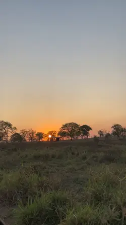 É um dia lindo 🤍