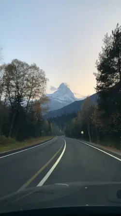 viajando