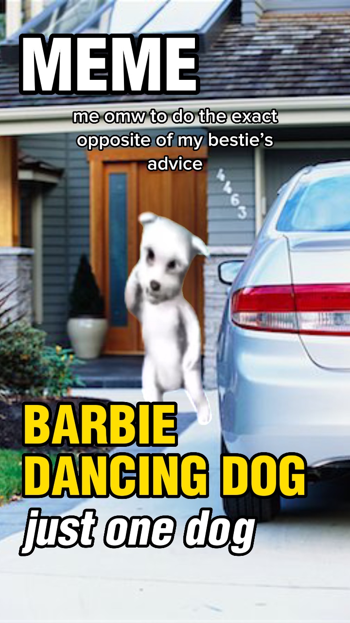 CÃO DANÇANTE BARBIE
