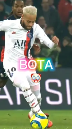 BOTA COM RAIVA