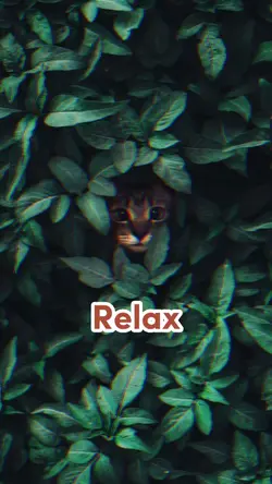 Relax Music