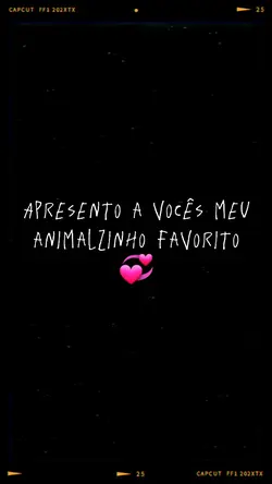Meu animalzinho 