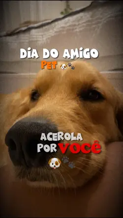 Dia do amigo 🐶🐾