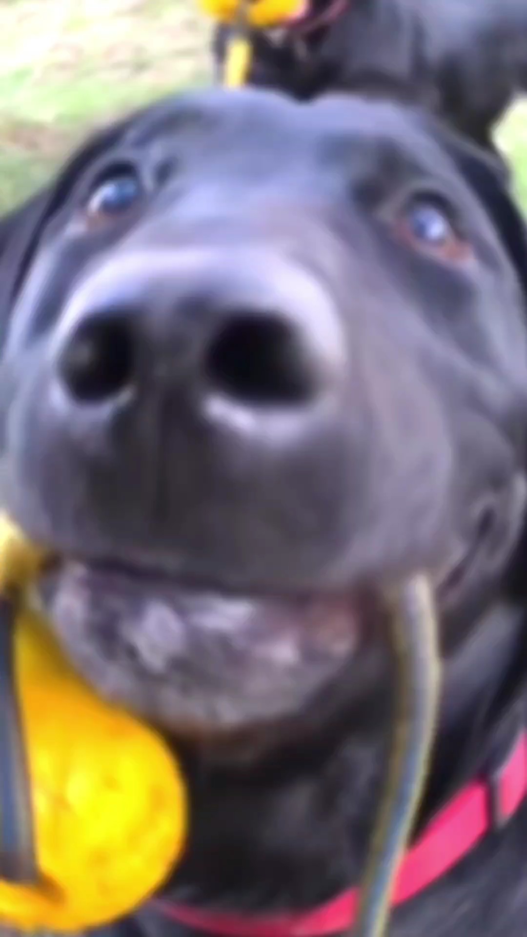 is tomorrow friday