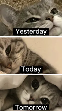 Yesterday Today 