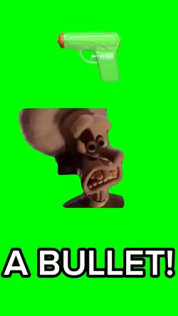 A BULLET!!!