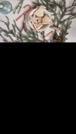 RT5 - Christmas Reel