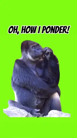 PONDERING GORILLA
