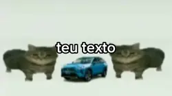 teu texto