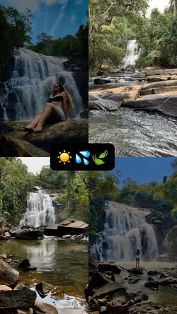 Fotos e vídeos 🍃📷