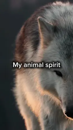 Animal spirit 