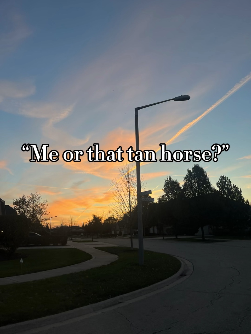 Eu ou aquele cavalo