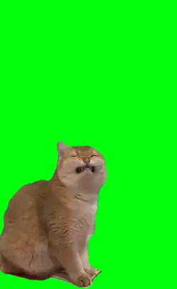 smile cat