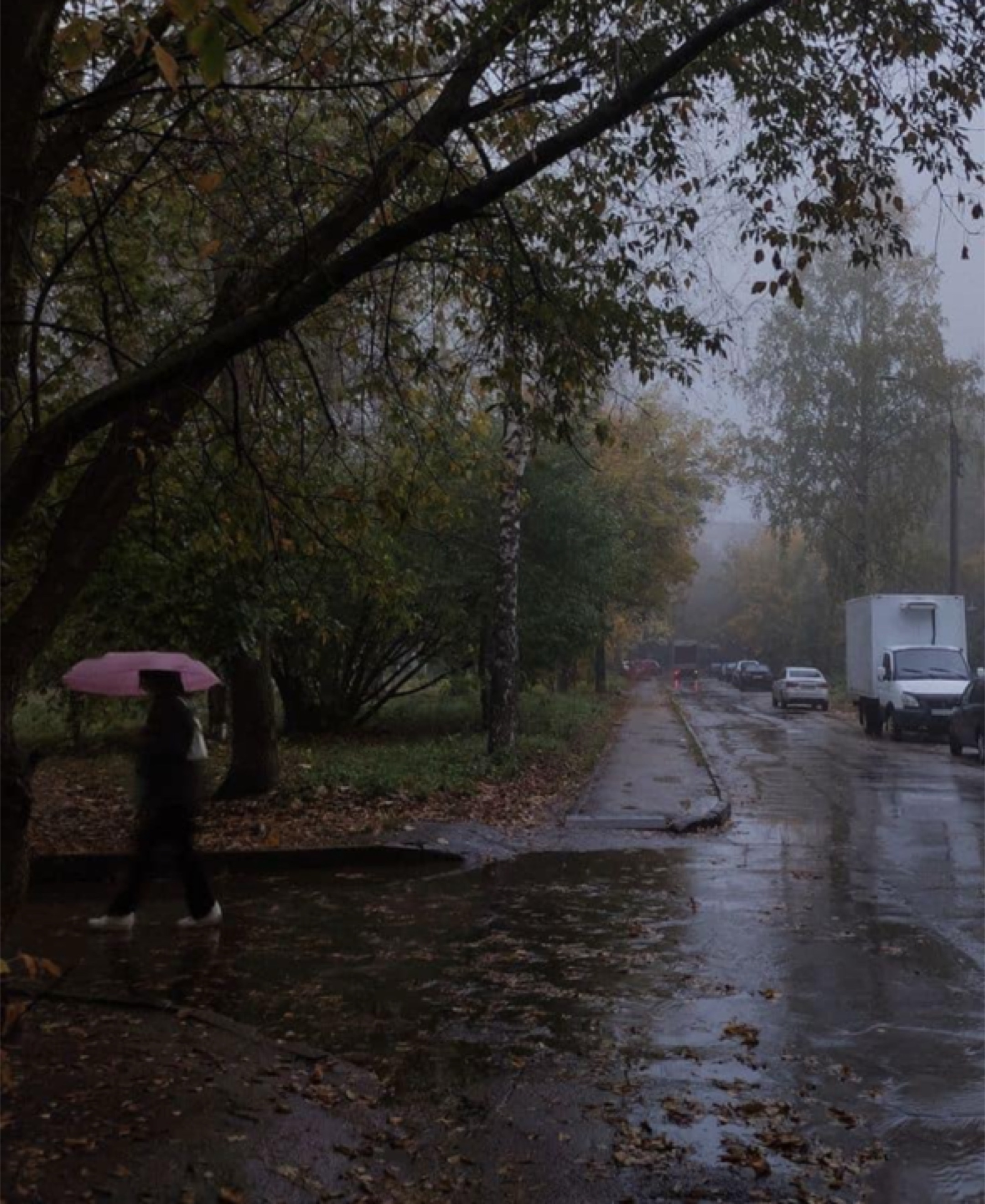 Fall Template
