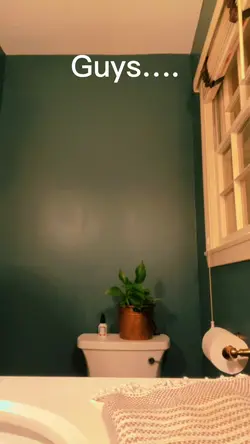 Curtain Bangs
