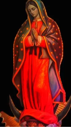 Creacion⭐️mariacampos