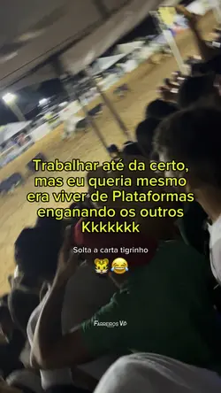 Tigrinho solta carta