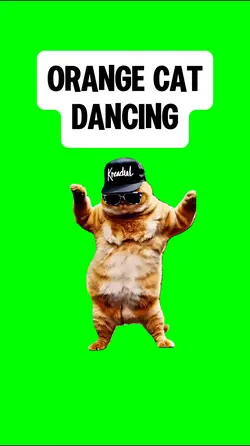 ORANGE CAT DANCING