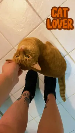 Cat lover