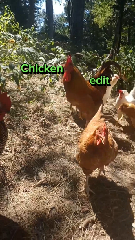 Modifier