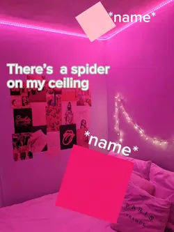 sPiDeR dAvE 🕷️