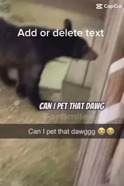 Can I pet that dowg 